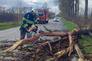Новини Вінниці / На Вінниччині рятувальники розчищали дороги через повалені дерева (ВІДЕО)