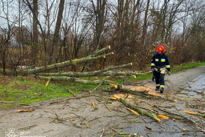 Новини Вінниці / На Вінниччині рятувальники розчищали дороги через повалені дерева (ВІДЕО)