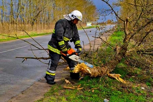 Новини Вінниці / На Вінниччині рятувальники розчищали дороги через повалені дерева (ВІДЕО)
