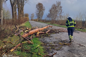 Новини Вінниці / На Вінниччині рятувальники розчищали дороги через повалені дерева (ВІДЕО)