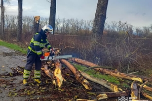 Новини Вінниці / На Вінниччині рятувальники розчищали дороги через повалені дерева (ВІДЕО)