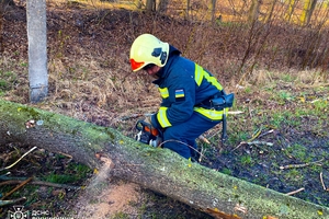 Новини Вінниці / На Вінниччині рятувальники розчищали дороги через повалені дерева (ВІДЕО)