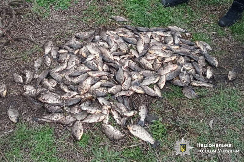 Новини Вінниці / На Вінниччині за три тижні виявили майже 30 випадків незаконної риболовлі під час нересту