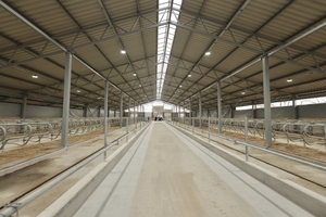 Новини Вінниці / На Вінниччині запрацювала нова сучасна молочна ферма «Вінсайт»