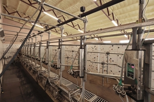 Новини Вінниці / На Вінниччині запрацювала нова сучасна молочна ферма «Вінсайт»