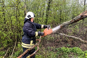 Новини Вінниці / Наслідки вчорашнього буревію на Вінниччині: пошкоджено автомобілі та будинки, один чоловік травмований