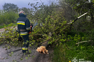 Новини Вінниці / Наслідки вчорашнього буревію на Вінниччині: пошкоджено автомобілі та будинки, один чоловік травмований
