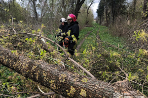 Новини Вінниці / Наслідки вчорашнього буревію на Вінниччині: пошкоджено автомобілі та будинки, один чоловік травмований