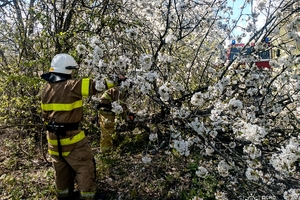 Новини Вінниці / Наслідки вчорашнього буревію на Вінниччині: пошкоджено автомобілі та будинки, один чоловік травмований