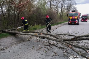 Новини Вінниці / Наслідки вчорашнього буревію на Вінниччині: пошкоджено автомобілі та будинки, один чоловік травмований