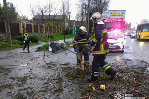 Новини Вінниці / Наслідки вчорашнього буревію на Вінниччині: пошкоджено автомобілі та будинки, один чоловік травмований