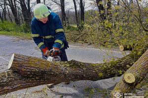Новини Вінниці / Наслідки вчорашнього буревію на Вінниччині: пошкоджено автомобілі та будинки, один чоловік травмований