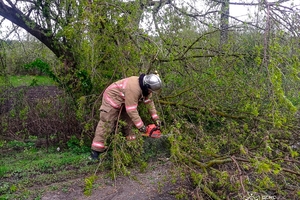 Новини Вінниці / Наслідки вчорашнього буревію на Вінниччині: пошкоджено автомобілі та будинки, один чоловік травмований
