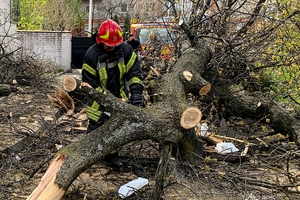 Новини Вінниці / Наслідки вчорашнього буревію на Вінниччині: пошкоджено автомобілі та будинки, один чоловік травмований
