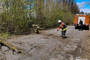 Новини Вінниці / Наслідки вчорашнього буревію на Вінниччині: пошкоджено автомобілі та будинки, один чоловік травмований
