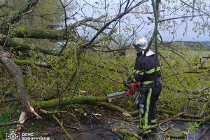 Новини Вінниці / Наслідки вчорашнього буревію на Вінниччині: пошкоджено автомобілі та будинки, один чоловік травмований