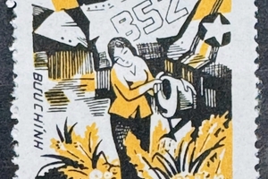 Новини Вінниці / Вінницькі митники вилучили в іноземця альбом із 88 марками тематики «VIET NAM»