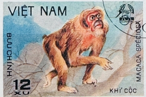 Новини Вінниці / Вінницькі митники вилучили в іноземця альбом із 88 марками тематики «VIET NAM»