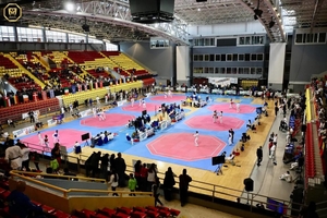 Новини Вінниці / Вінницькі тхеквондисти привезли «золото» та «бронзу» з міжнародного турніру Skopje Open Ramus